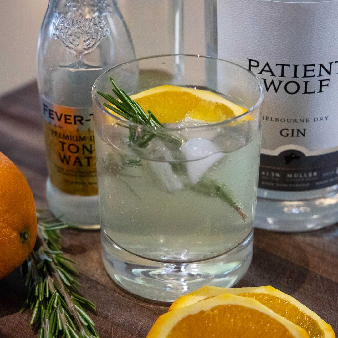 Gin and Rosemary Tonic